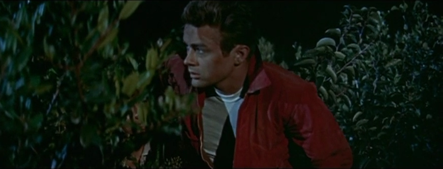 James_Dean_in_Rebel_Without_a_Cause_trailer.jpg
