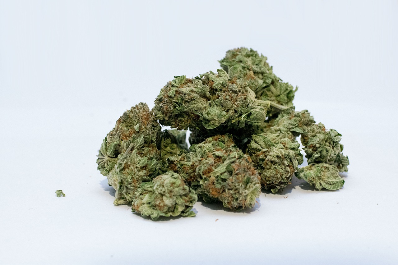 marijuana-2174302_1280.jpg