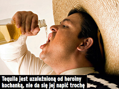 make_alko_tequila.jpg make-alko-tequila-f73d005895a5e19ab53c9e6239710c6d_ce8ff8