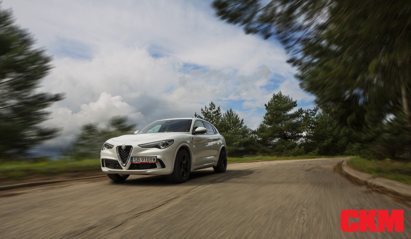 stelvio.jpg stelvio-175dcdb4b25cac174da8e5c3dbe98e16_7ee232