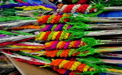 januszj-color-3240869 januszj-color-3240869