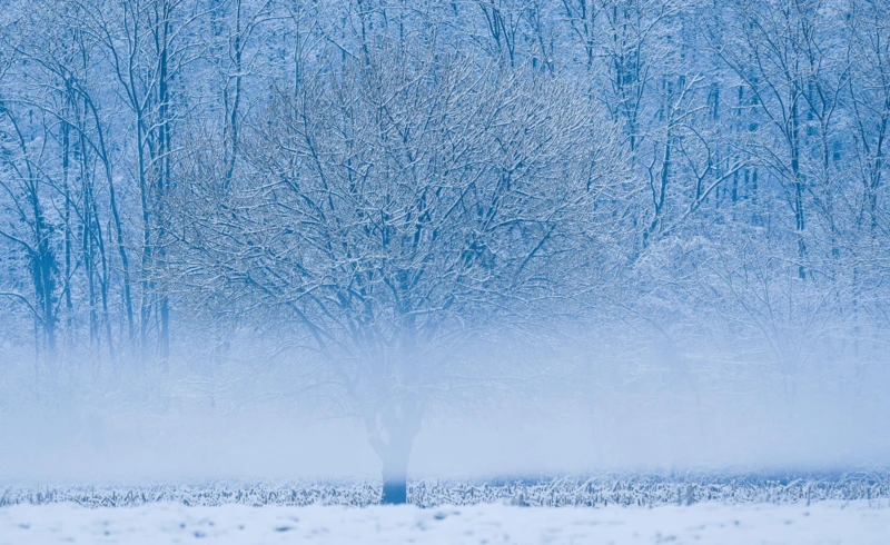 Jarosław Kaczyński, fot. KAPiF - 2026-04-20T100238.267 Jarosław Kaczyński, fot. KAPiF - 2026-04-20T100238.267