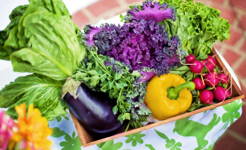 jillwellington-vegetables-790022 jillwellington-vegetables-790022