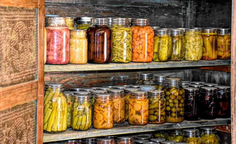 ray_shrewsberry-root-cellar-4022024_1920 ray_shrewsberry-root-cellar-4022024_1920