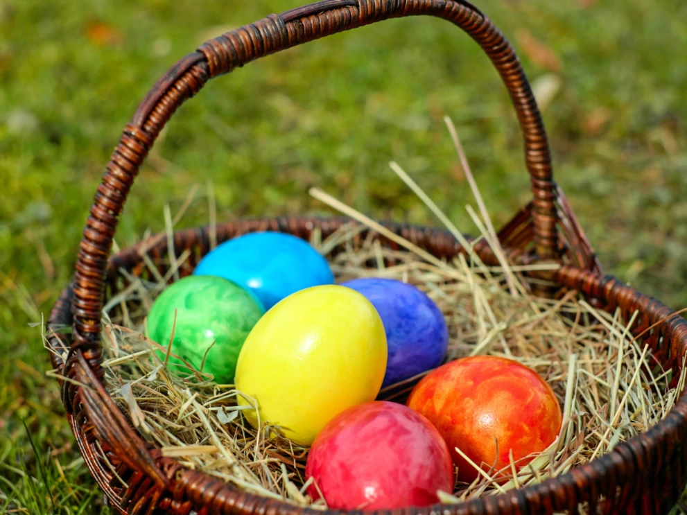 Projekt bez nazwy(28) Projekt bez nazwy(28)